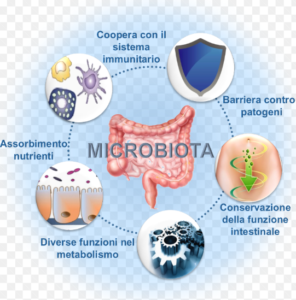 Microbiota Parkinson