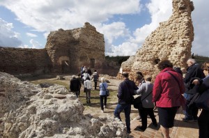 ANTIQUARIUM TURRITANO 021