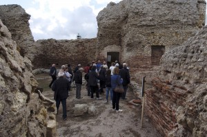 ANTIQUARIUM TURRITANO 022