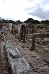 ANTIQUARIUM TURRITANO 034