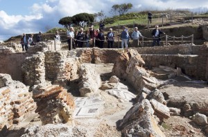 ANTIQUARIUM TURRITANO 038