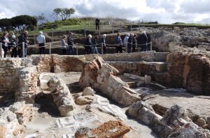 ANTIQUARIUM TURRITANO 043